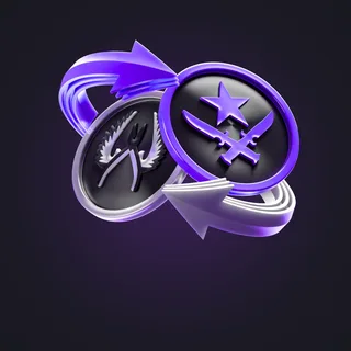 Coinflip SkinRave